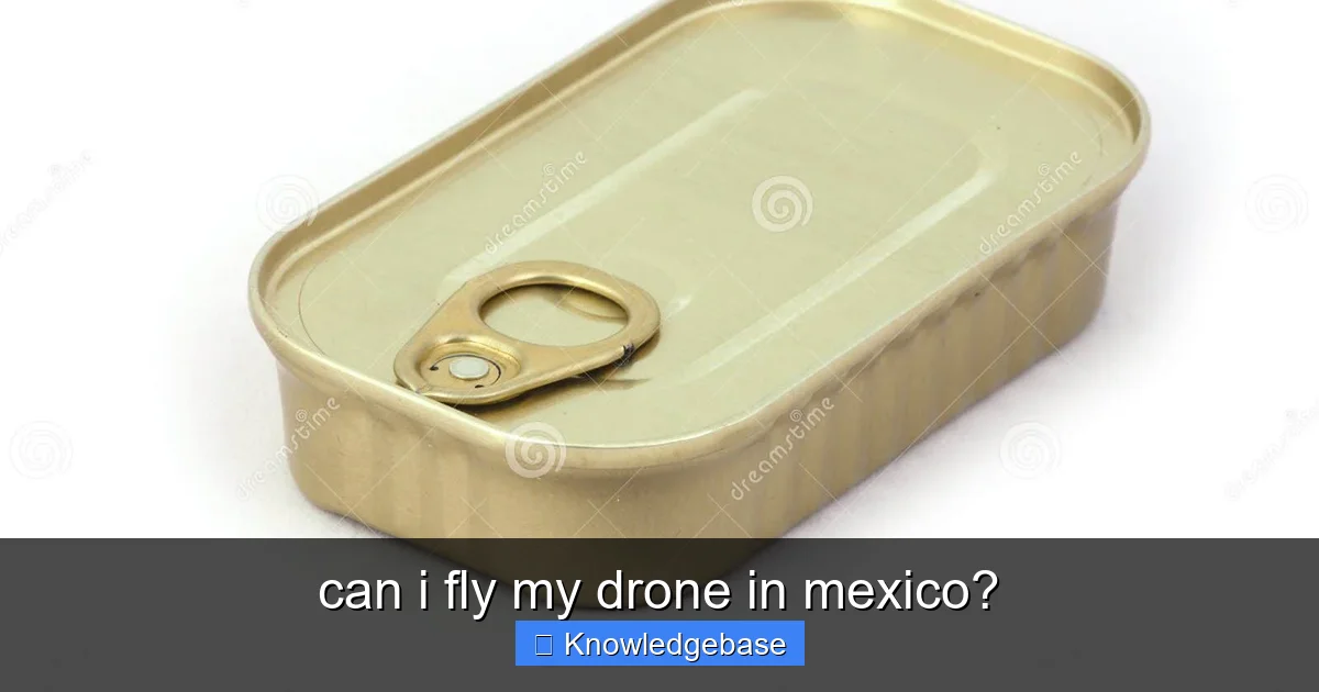 can i fly my drone in mexico? - content1 visual guide