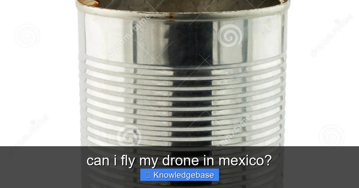 can i fly my drone in mexico? - content2 visual guide