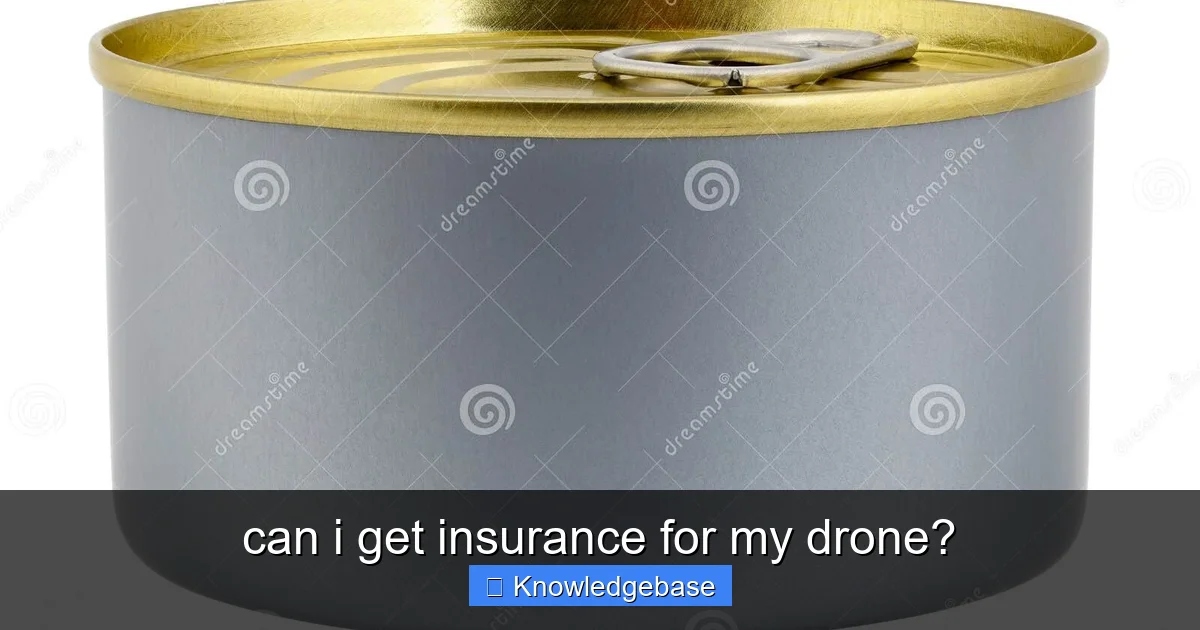 can i get insurance for my drone? - content1 visual guide