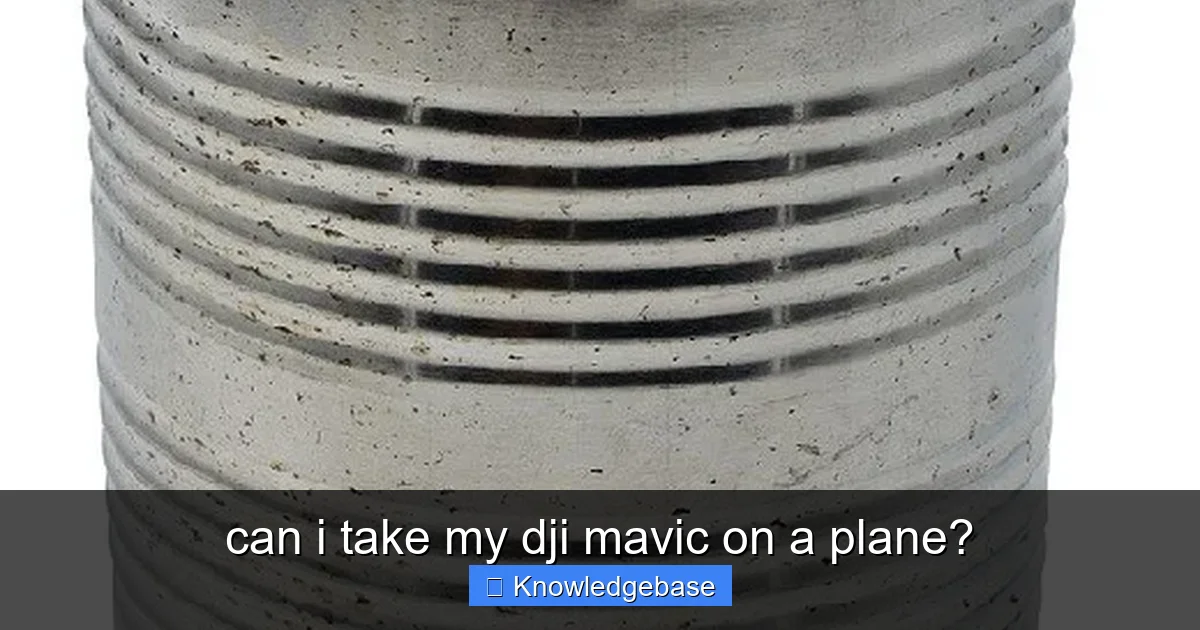 can i take my dji mavic on a plane? - content1 visual guide