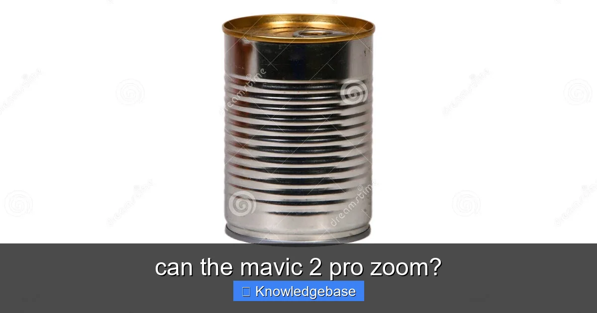 can the mavic 2 pro zoom? - content1 visual guide