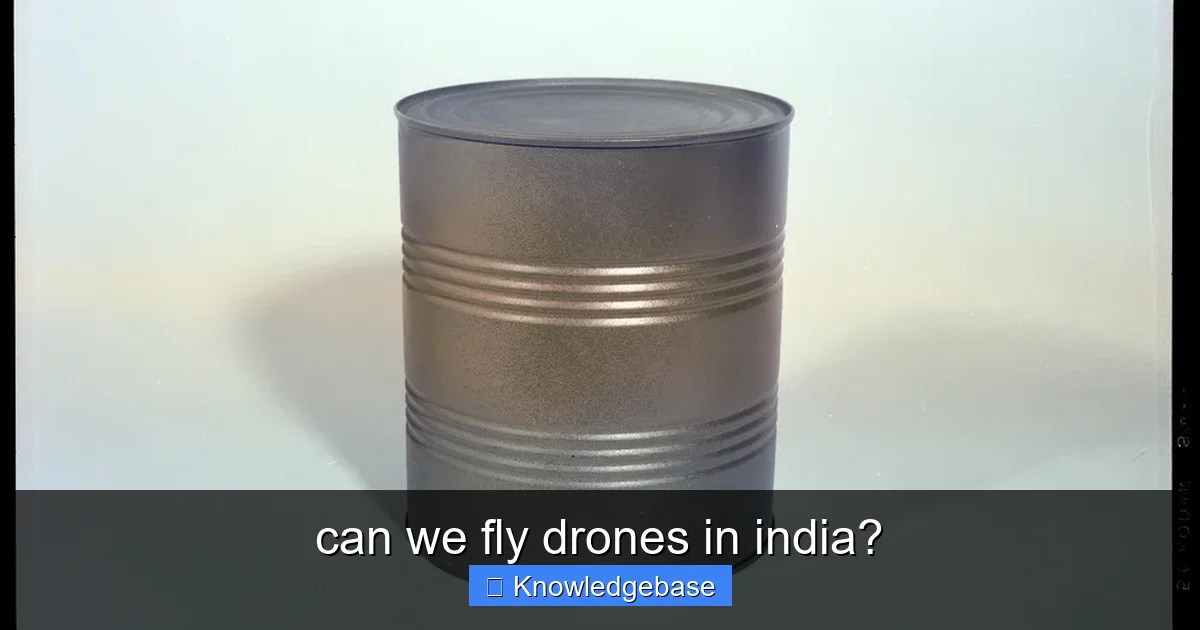 can we fly drones in india? - content1 visual guide