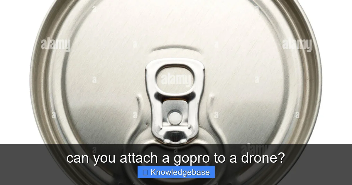 can you attach a gopro to a drone? - content1 visual guide