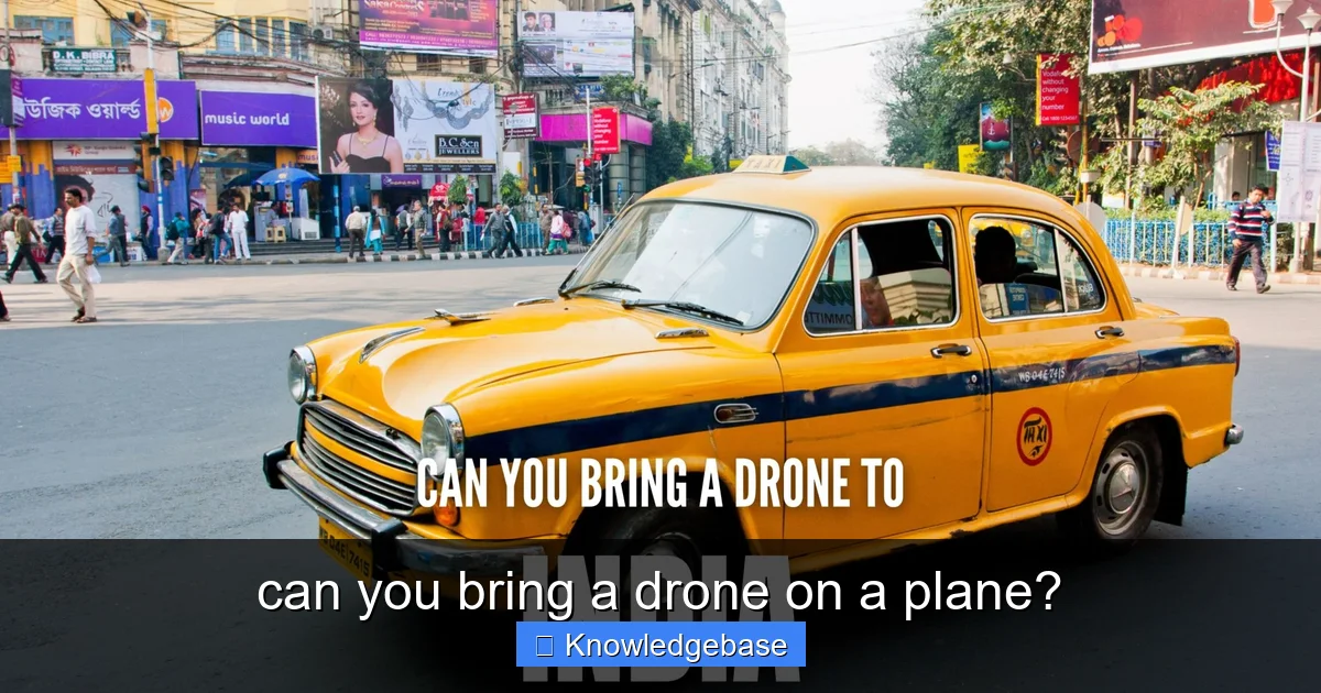 can you bring a drone on a plane? - content1 visual guide