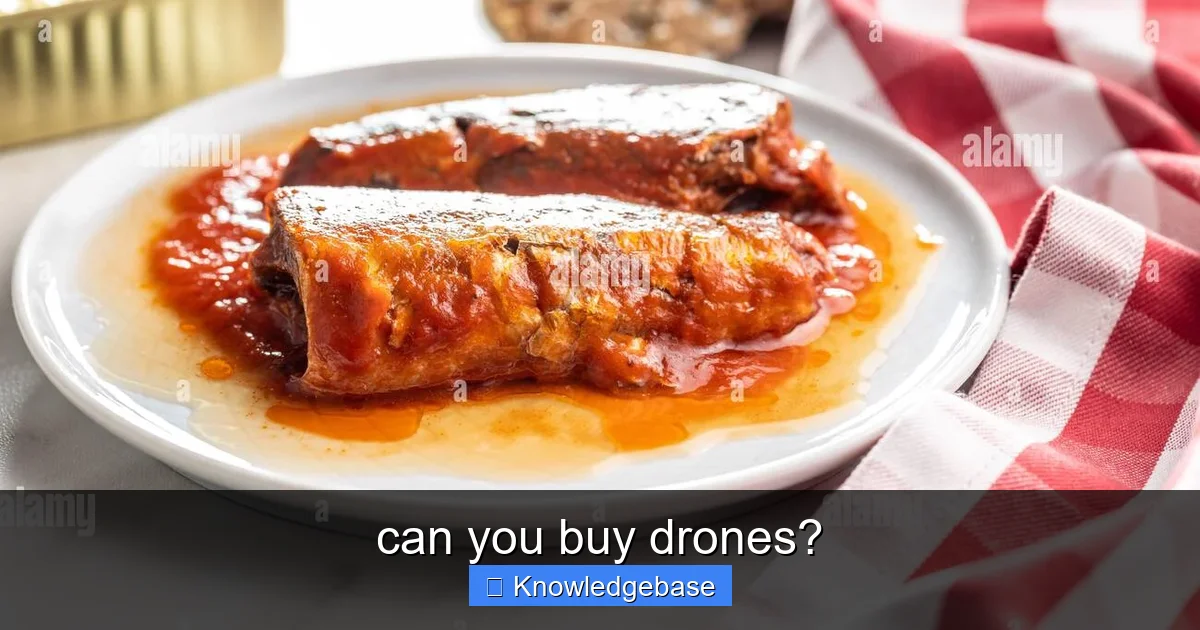 can you buy drones? - content2 visual guide