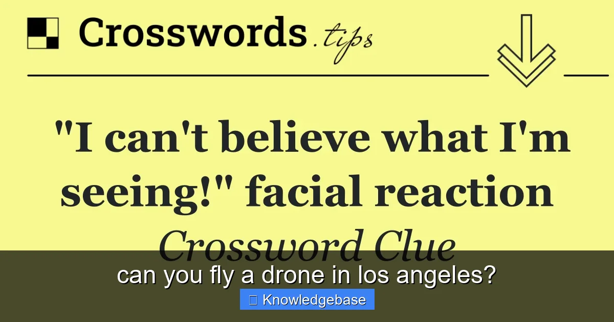 can you fly a drone in los angeles? - content2 visual guide