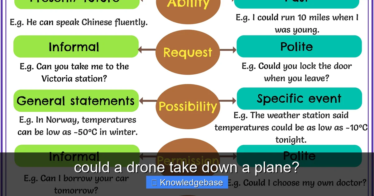 could a drone take down a plane? - content1 visual guide