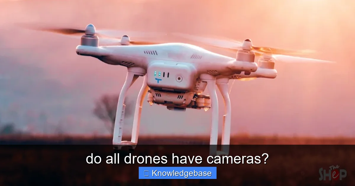 do all drones have cameras? - content1 visual guide