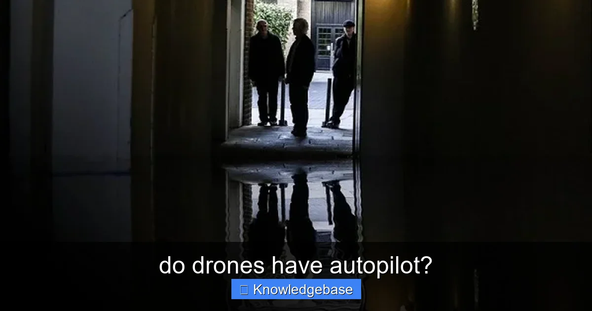 do drones have autopilot? - content1 visual guide