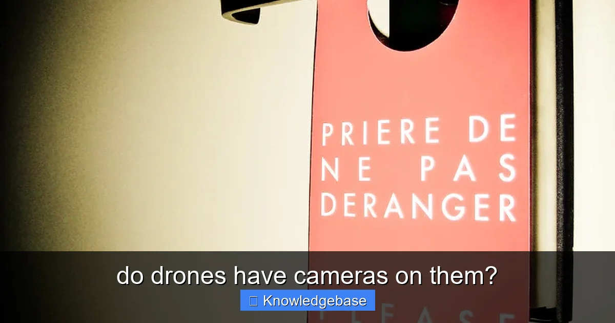 do drones have cameras on them? - content1 visual guide