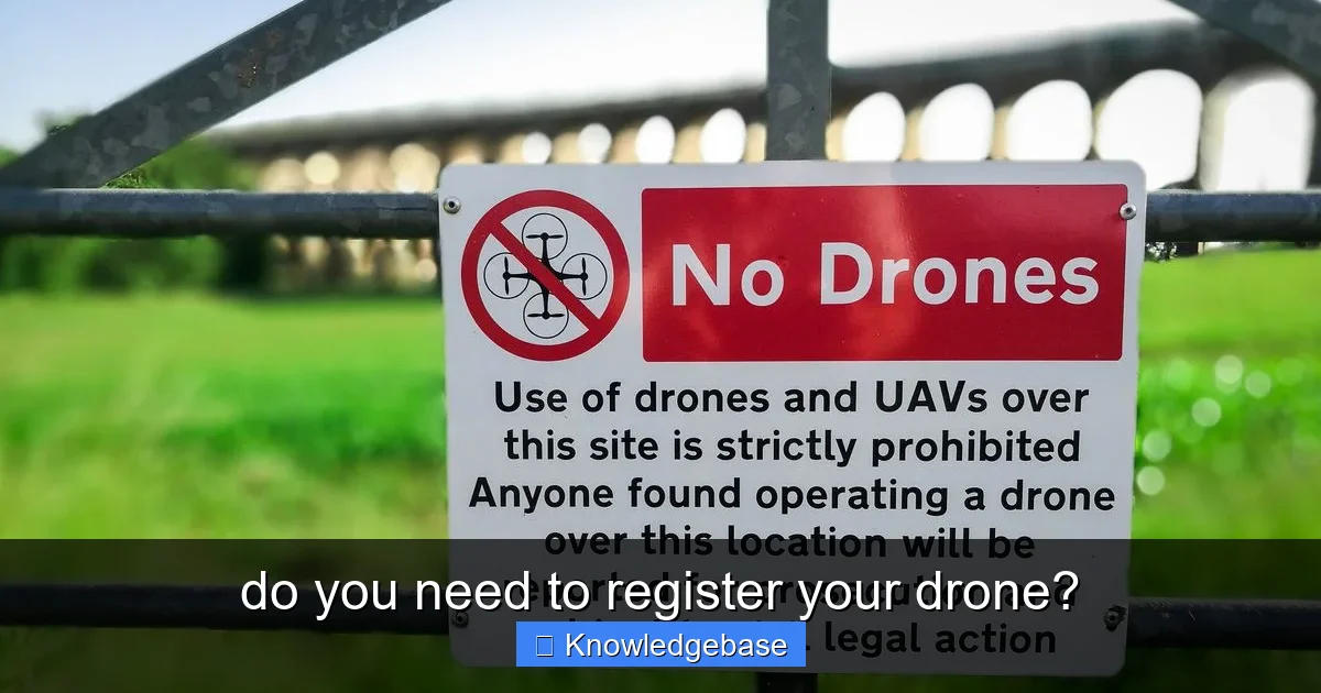 do you need to register your drone? - content2 visual guide