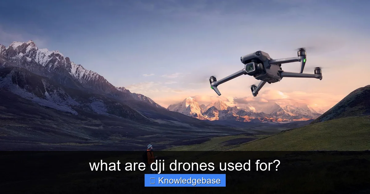 what are dji drones used for? - content1 visual guide