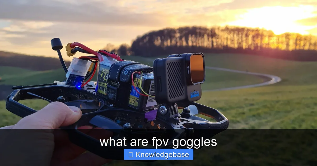 what are fpv goggles - content1 visual guide