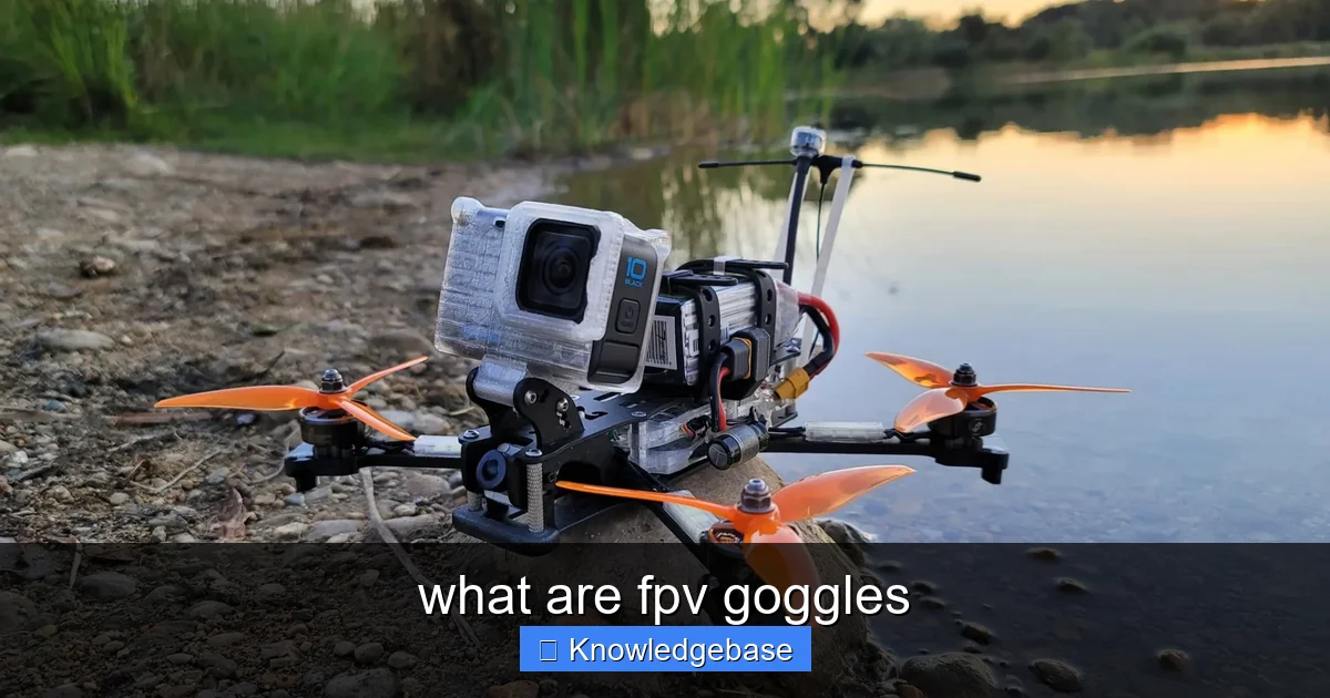 what are fpv goggles - content2 visual guide