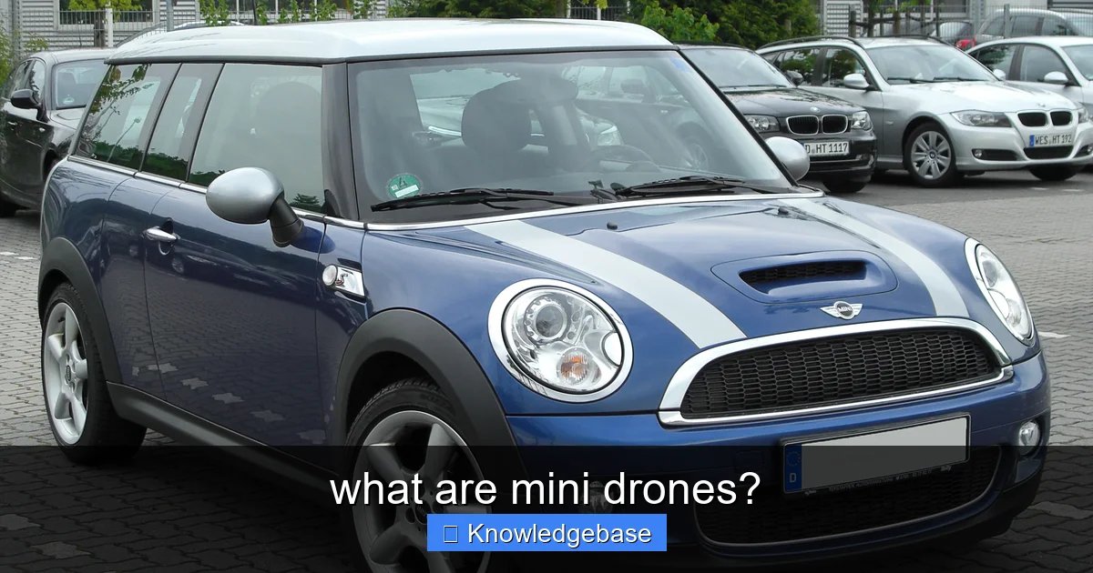 what are mini drones? - content1 visual guide