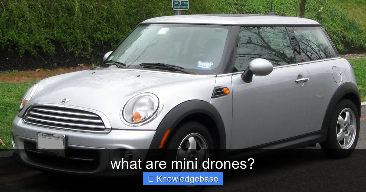 what are mini drones? - content2 visual guide