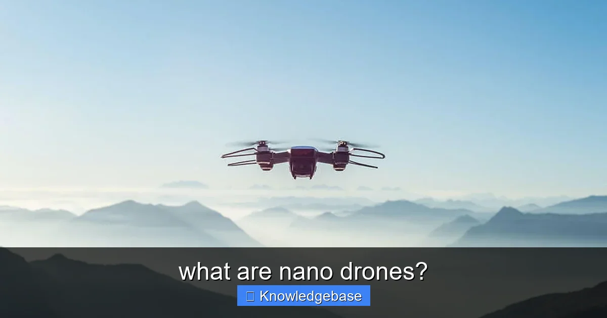 what are nano drones? - content1 visual guide