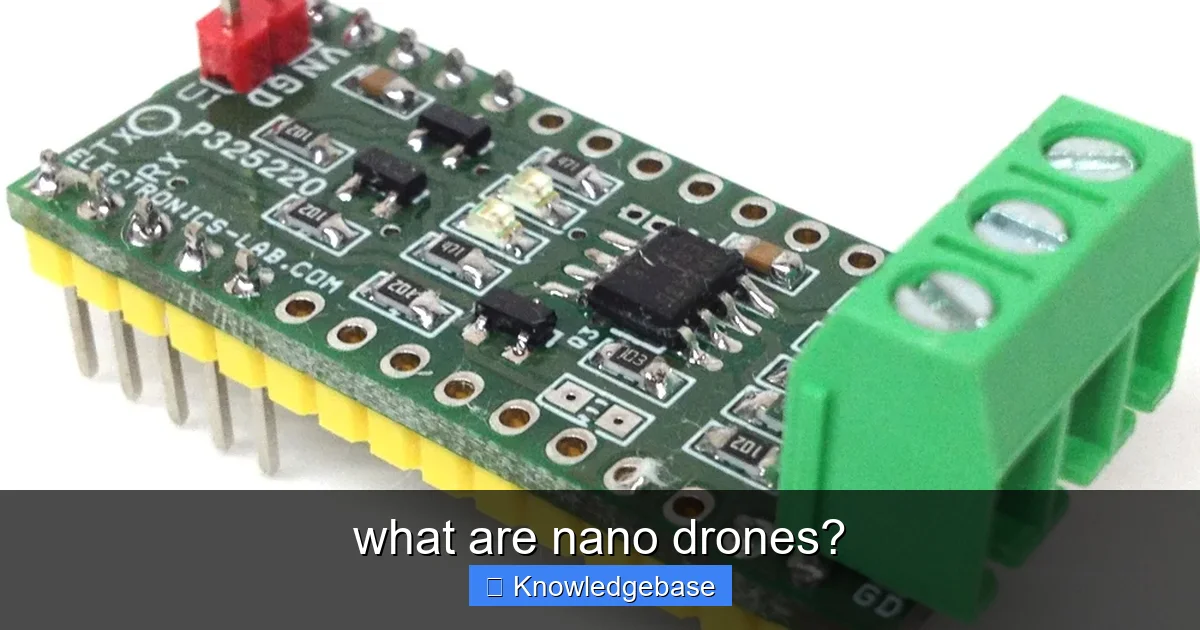 what are nano drones? - content2 visual guide
