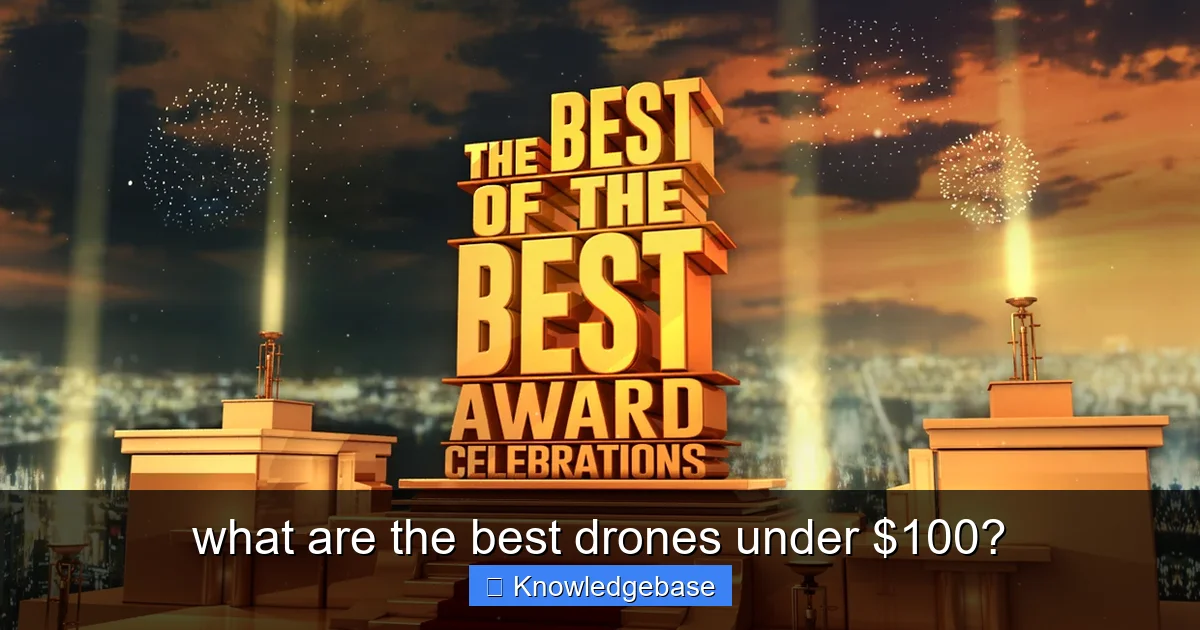 what are the best drones under $100? - content1 visual guide