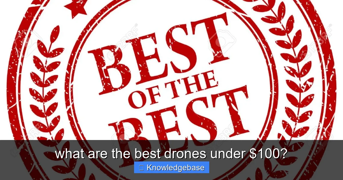 what are the best drones under $100? - content2 visual guide