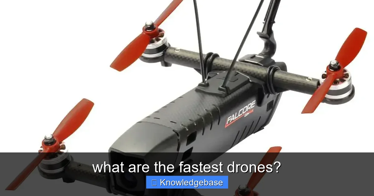 what are the fastest drones? - content2 visual guide