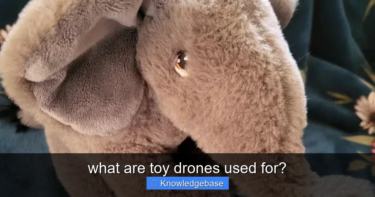 what are toy drones used for? - content1 visual guide