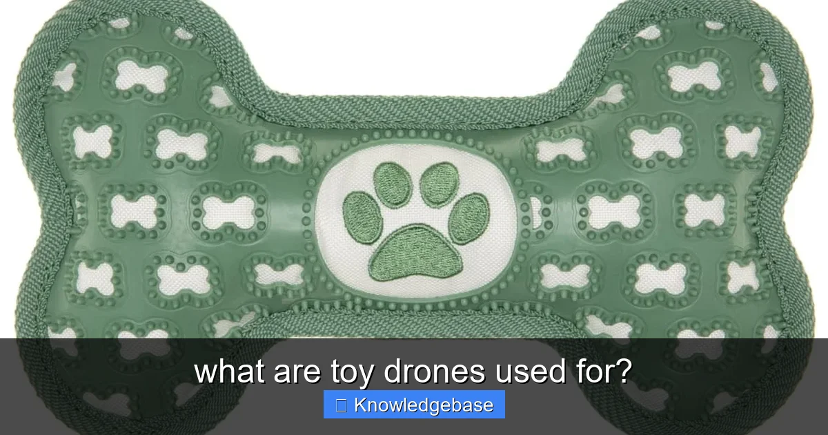 what are toy drones used for? - content2 visual guide