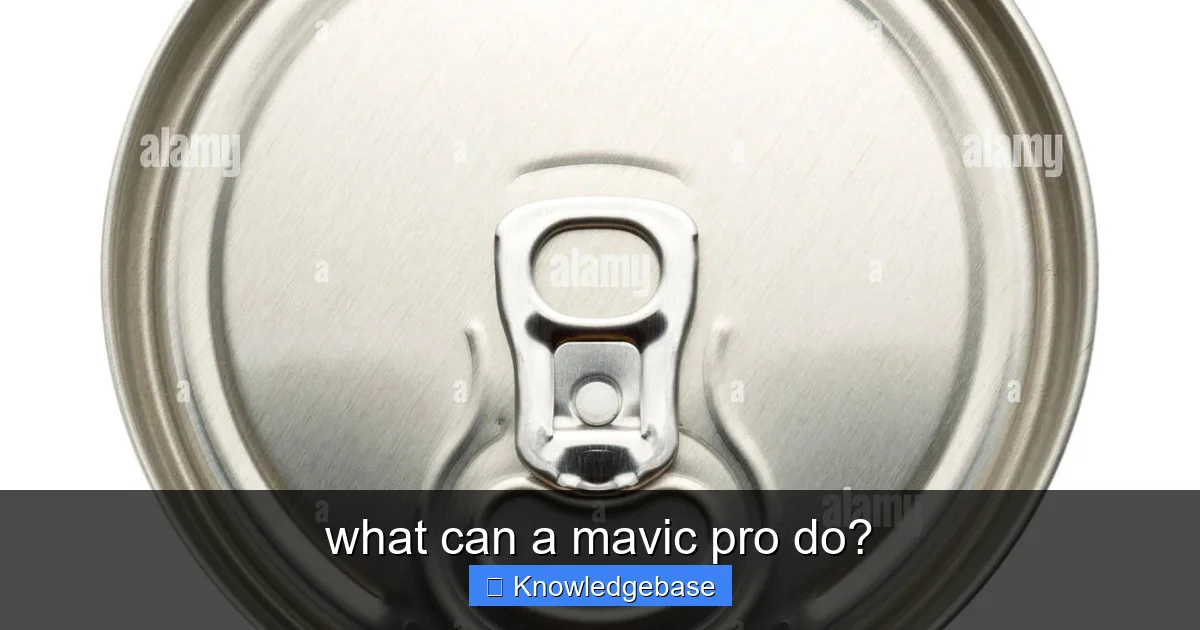 what can a mavic pro do? - content1 visual guide