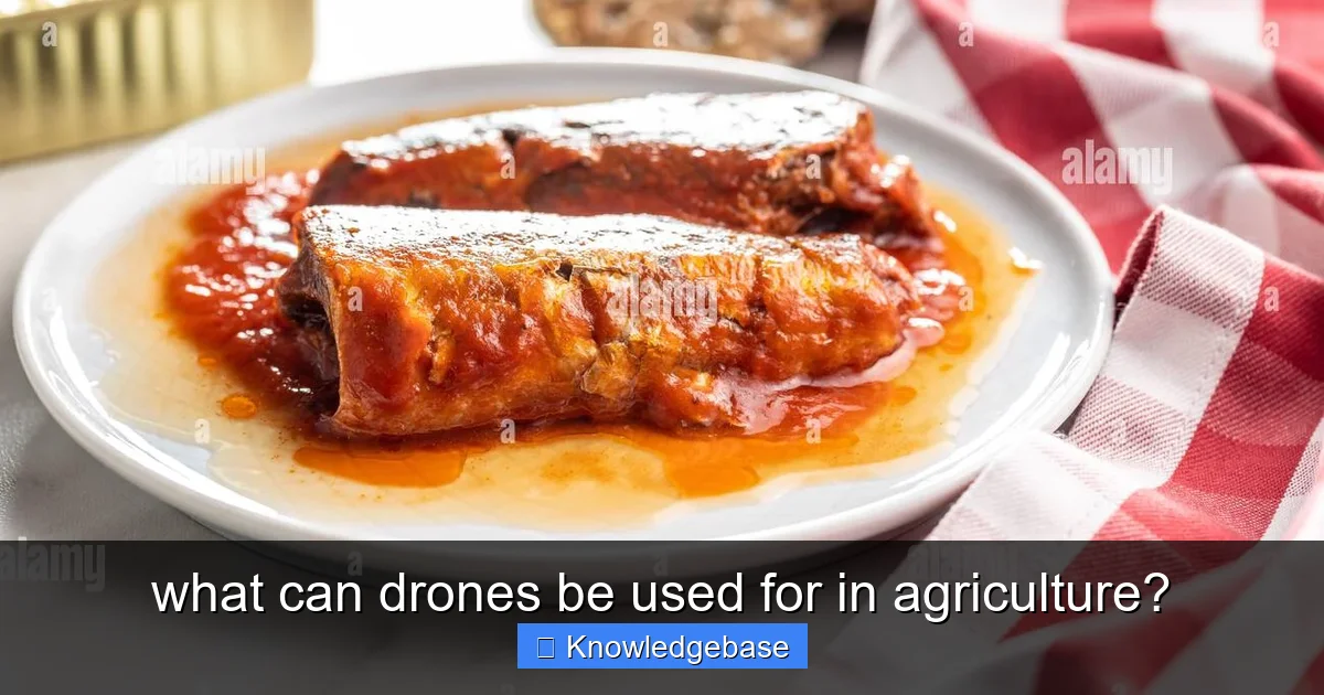what can drones be used for in agriculture? - content2 visual guide