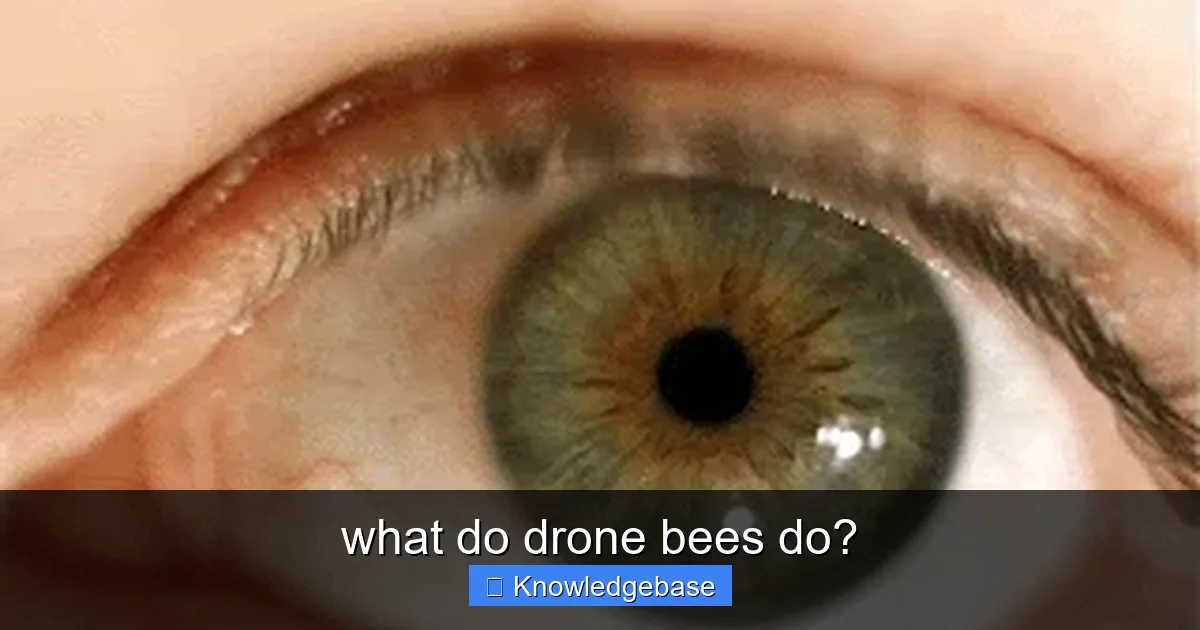 what do drone bees do? - content1 visual guide