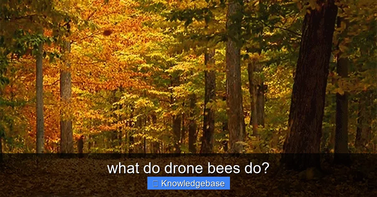what do drone bees do? - content2 visual guide