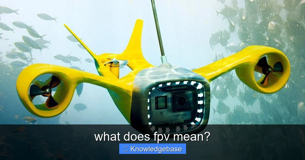 what does fpv mean? - content1 visual guide