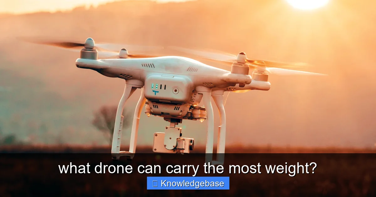 what drone can carry the most weight? - content1 visual guide