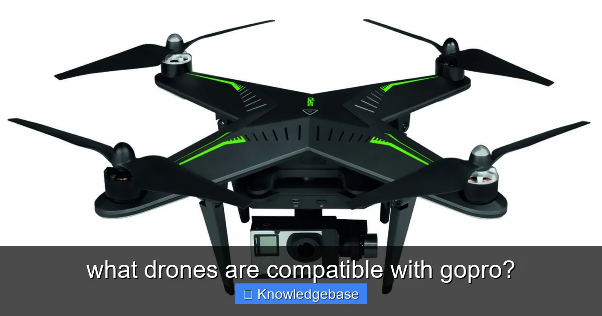 what drones are compatible with gopro? - content1 visual guide