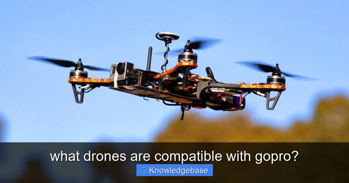 what drones are compatible with gopro? - content2 visual guide