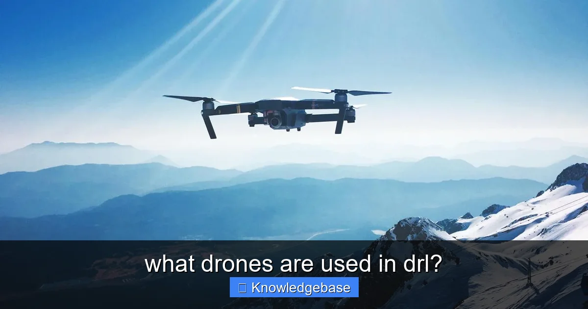 what drones are used in drl? - content1 visual guide