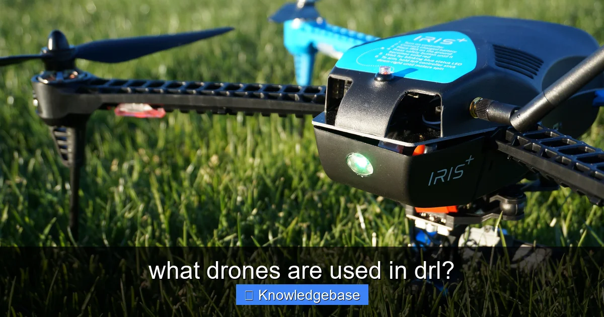 what drones are used in drl? - content2 visual guide