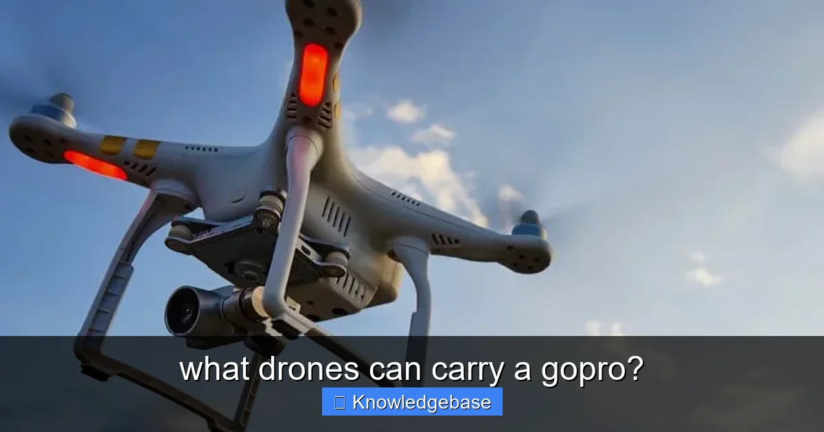 what drones can carry a gopro? - content1 visual guide