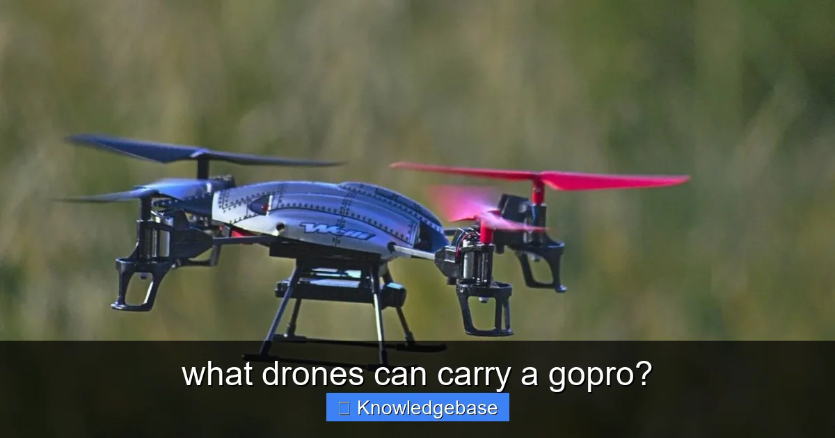 what drones can carry a gopro? - content2 visual guide