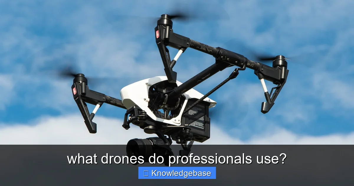 what drones do professionals use? - content1 visual guide