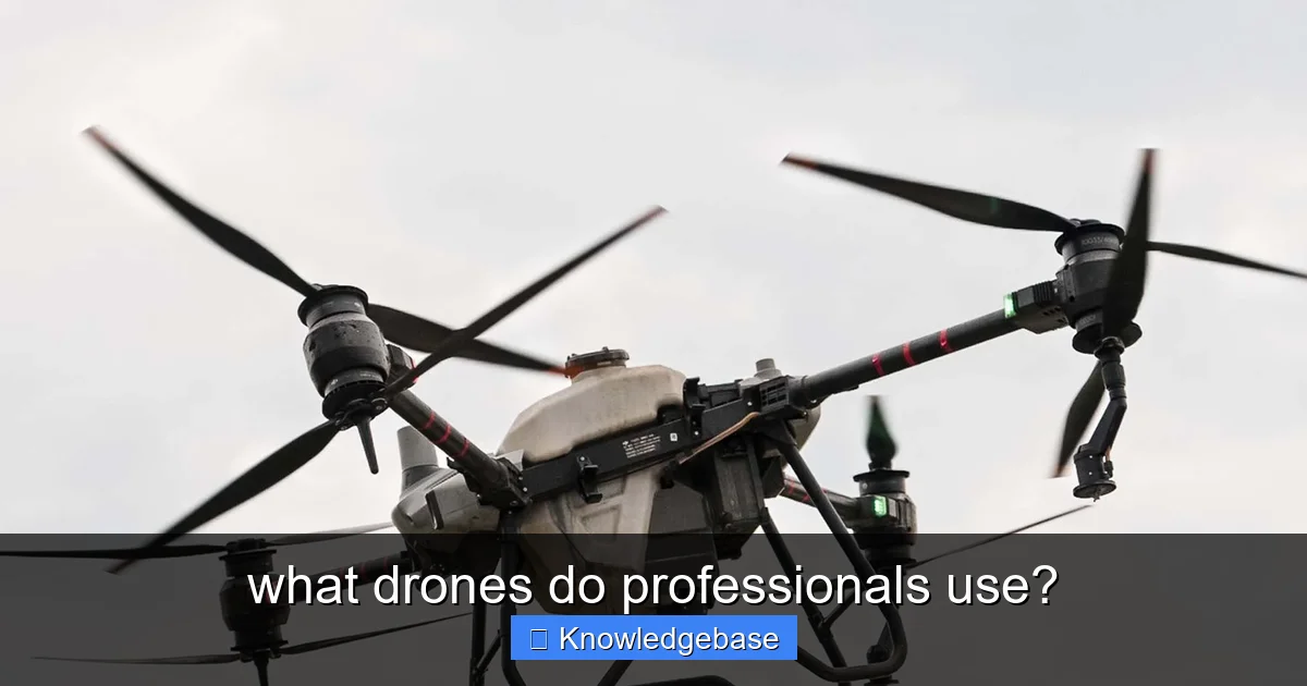 what drones do professionals use? - content2 visual guide