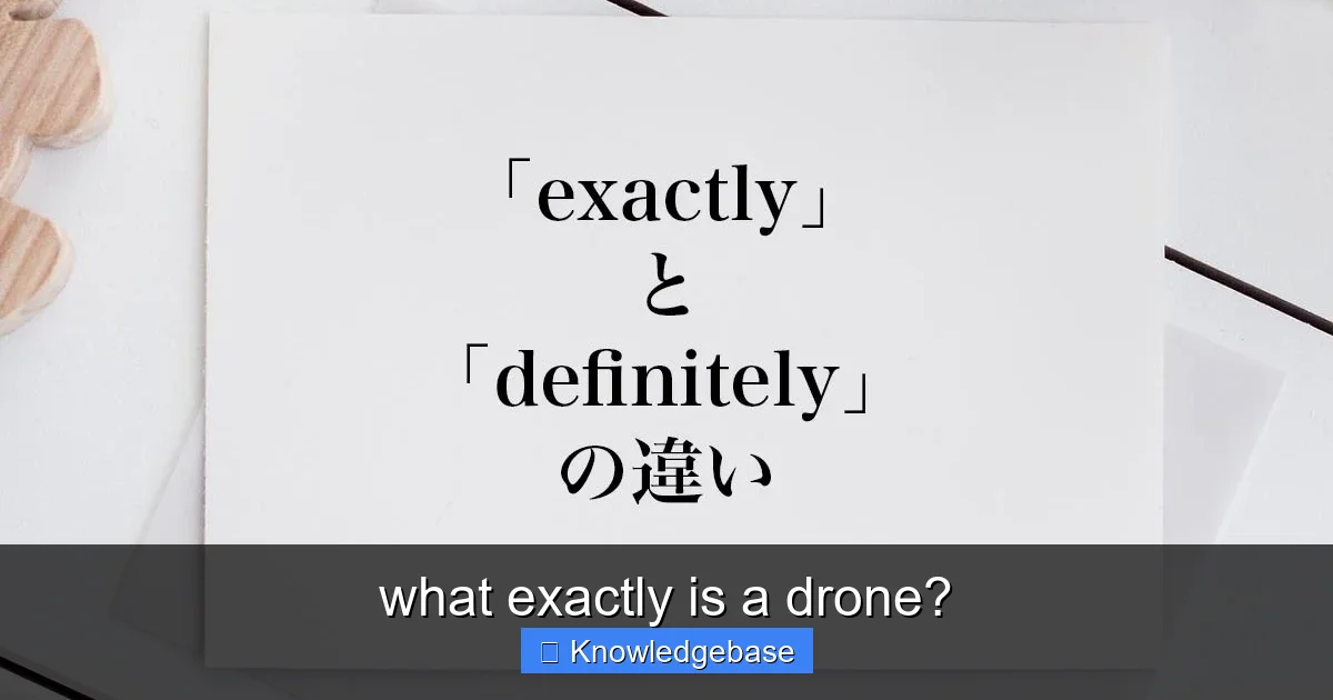 what exactly is a drone? - content1 visual guide