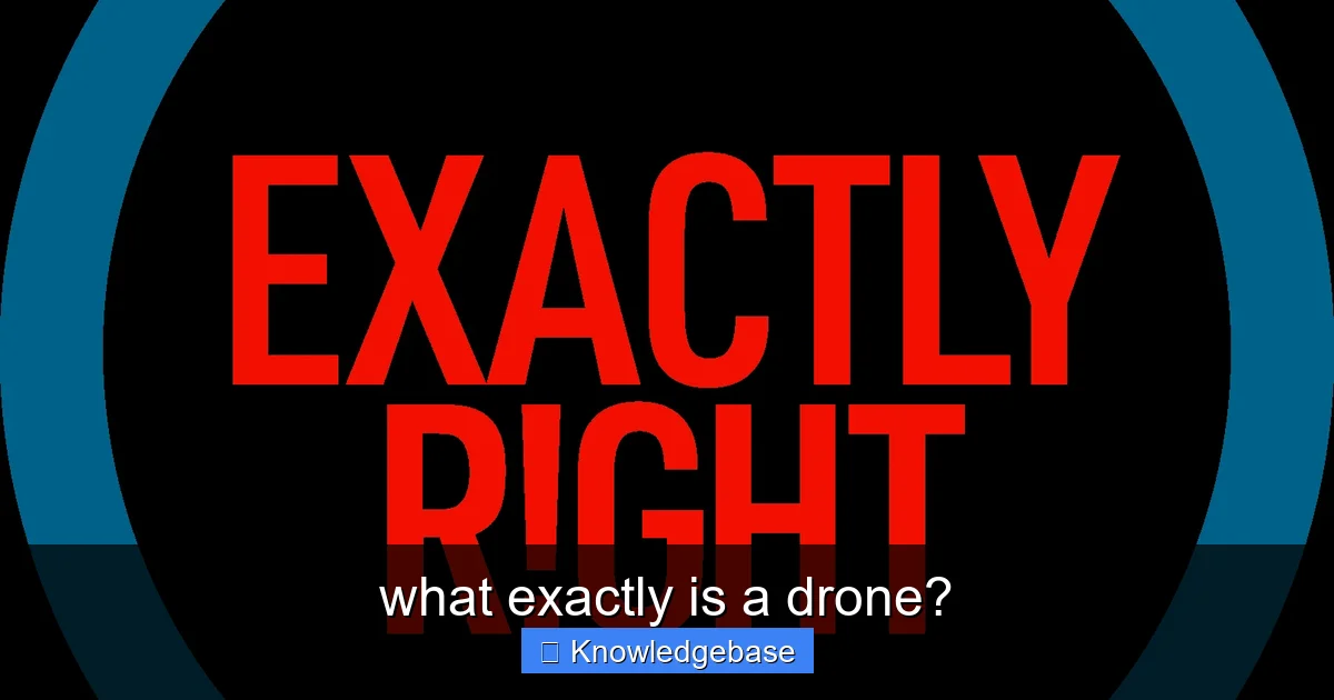 what exactly is a drone? - content2 visual guide