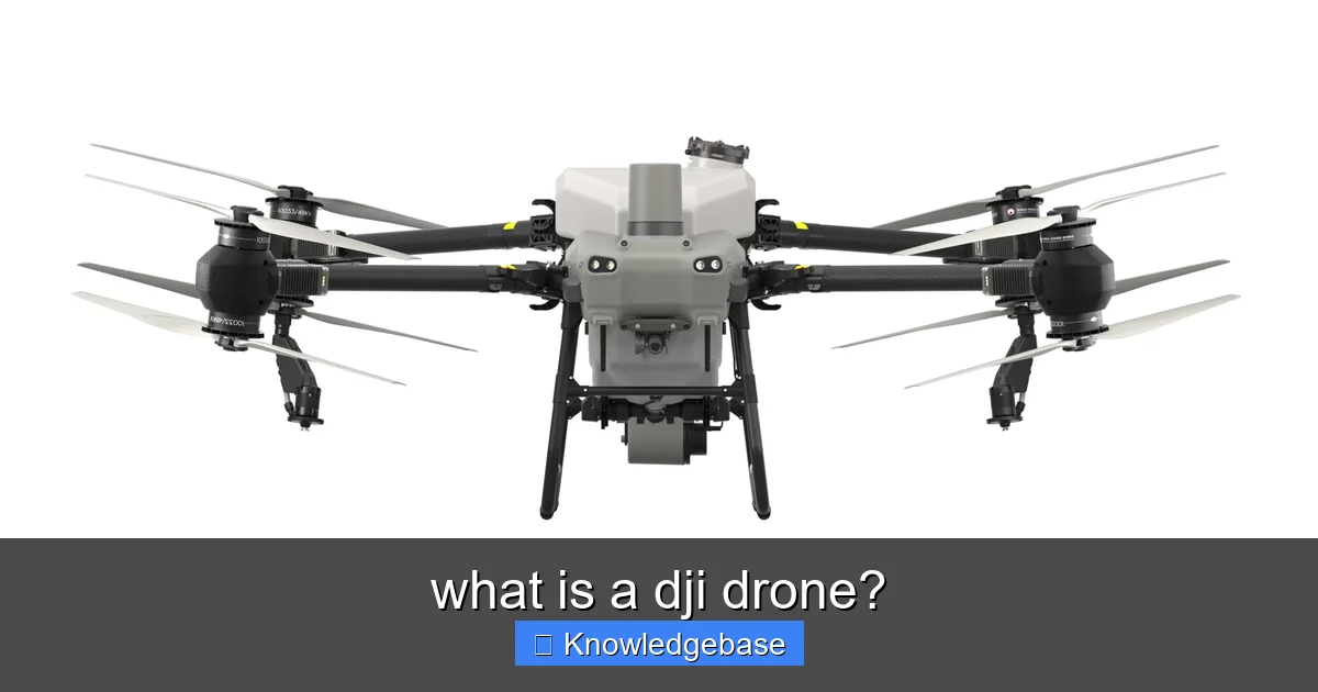 what is a dji drone? - content2 visual guide