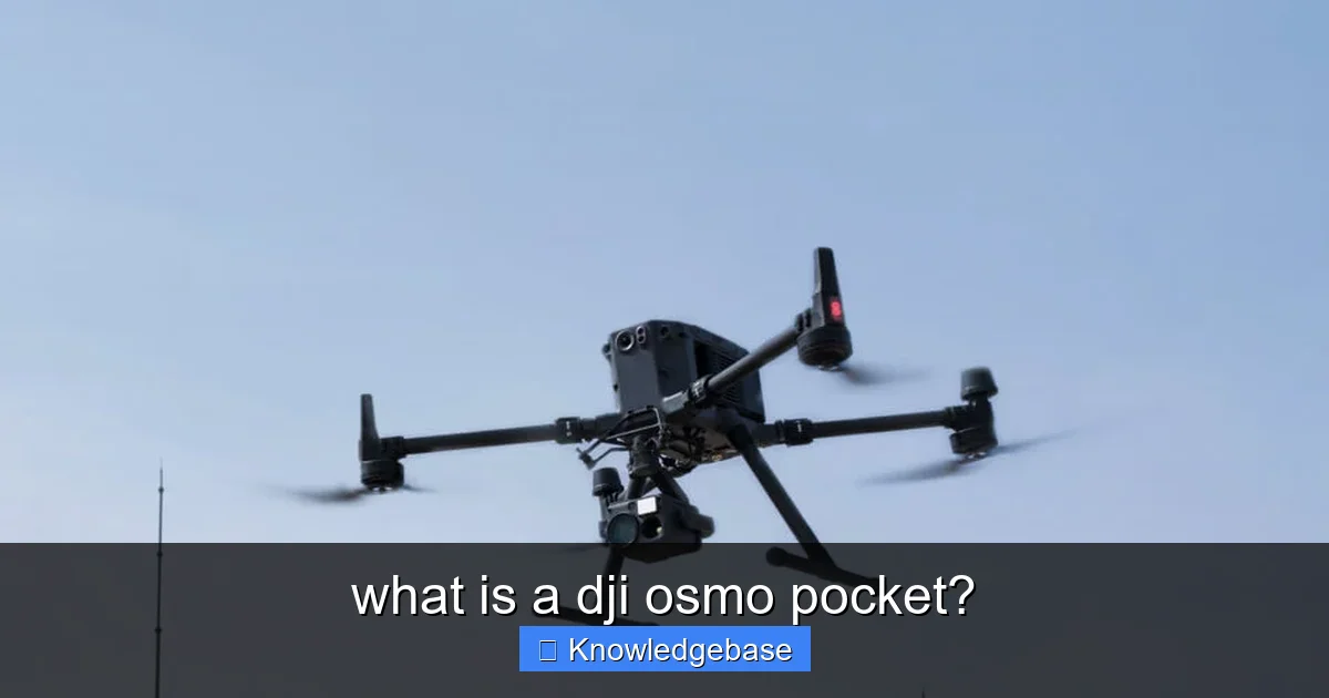 what is a dji osmo pocket? - content1 visual guide