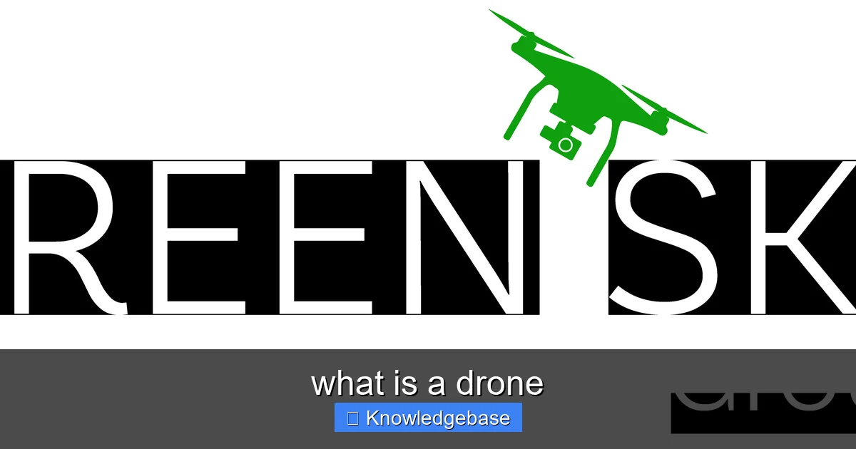 what is a drone - content1 visual guide