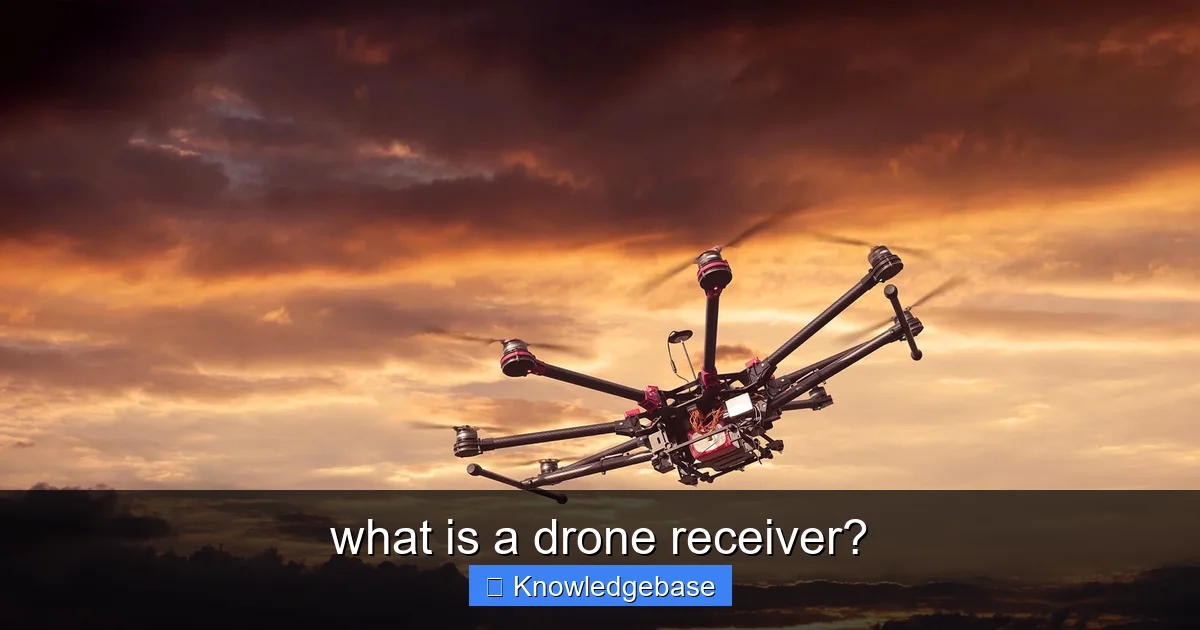 what is a drone receiver? - content1 visual guide