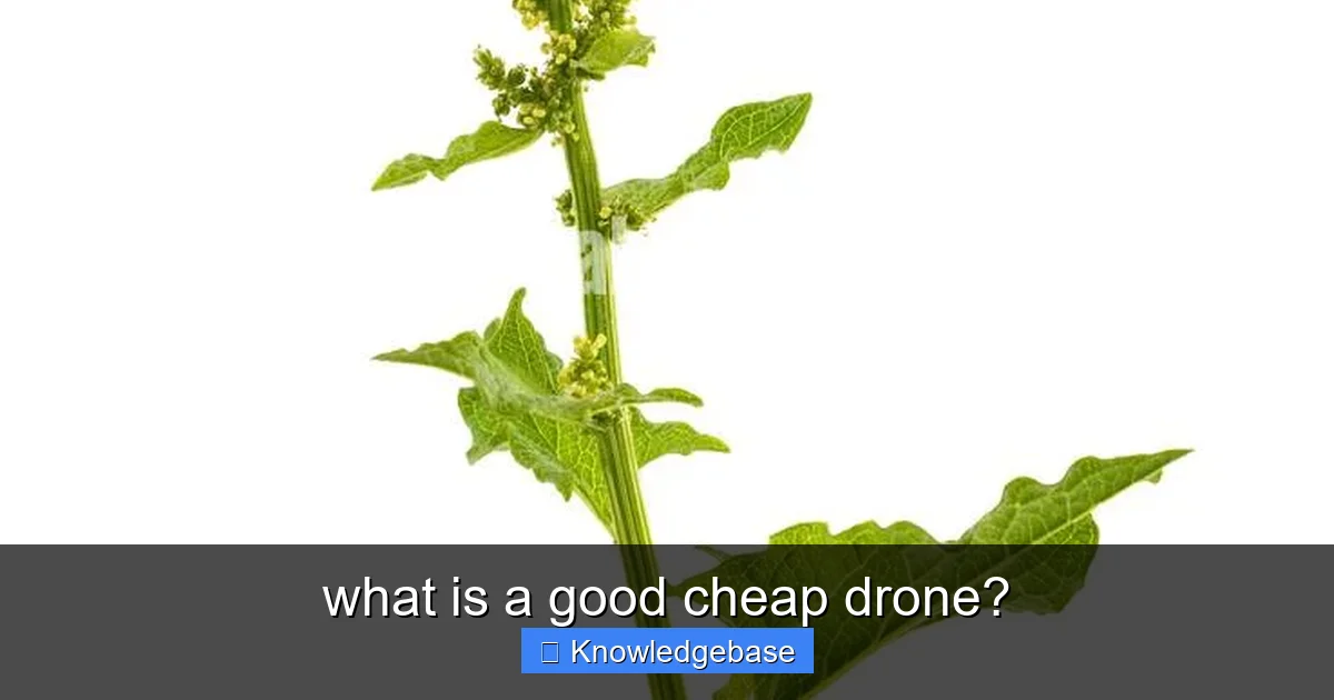 what is a good cheap drone? - content1 visual guide