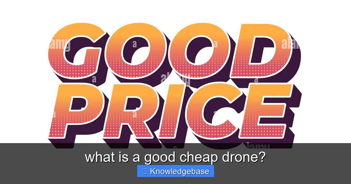 what is a good cheap drone? - content2 visual guide