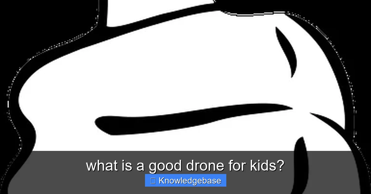 what is a good drone for kids? - content2 visual guide